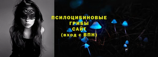 ALPHA PVP Корсаков